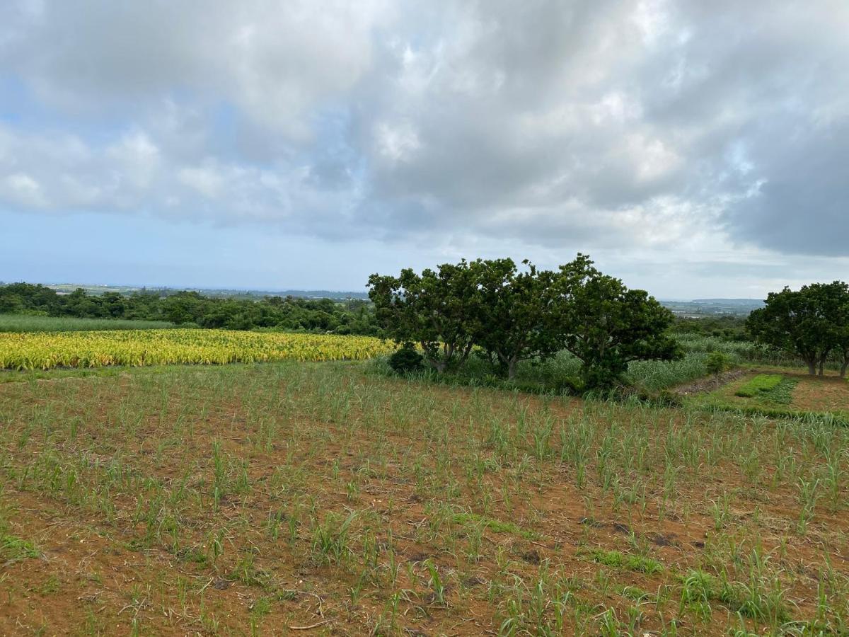 スターハウス宮古島 Miyakojima (Okinawa) Kültér fotó